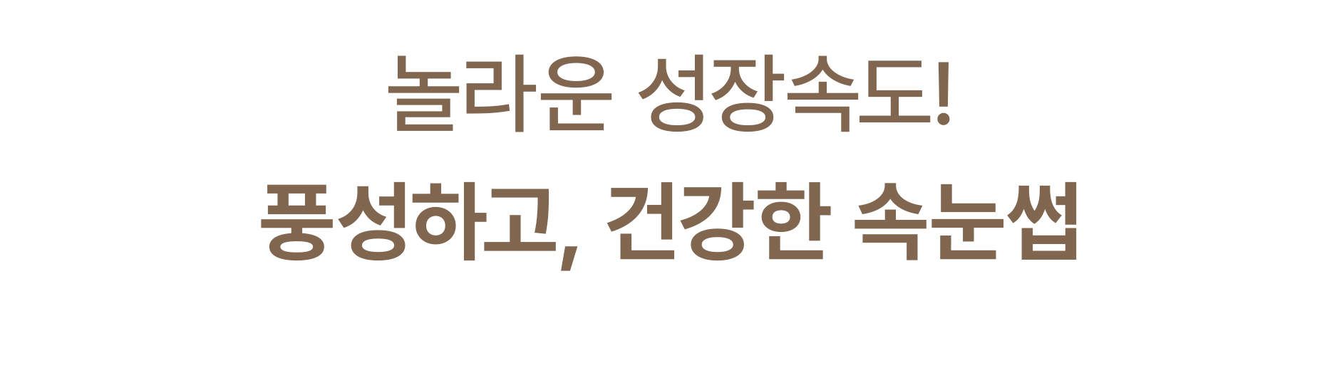키토좀세럼2